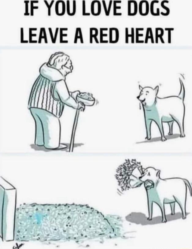 IF YOU LOVE DOGS LEAVE A RED HEART