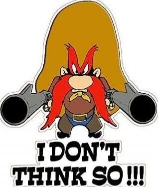 I DON'T THINK SO !!!