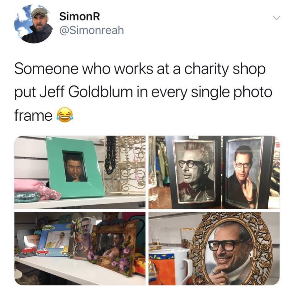 SimonR v Simonreah Someone who works at a charity shop put Jeff Goldblum in every single photo frame
