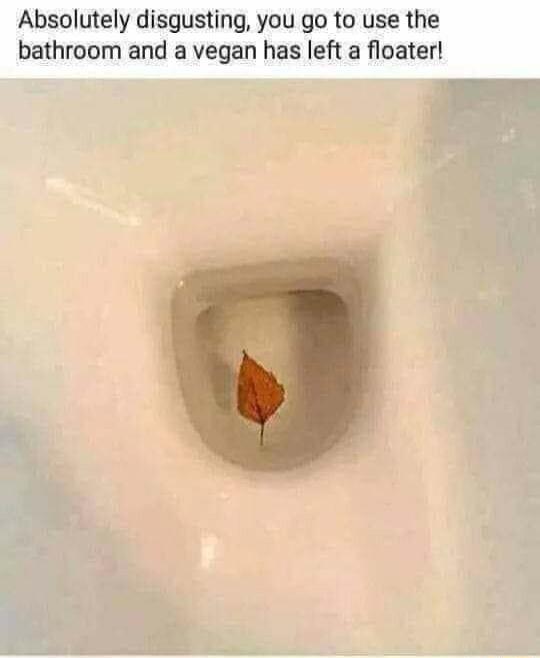 Absolutely disgusting you go to use the bathroom and a vegan has left a floater