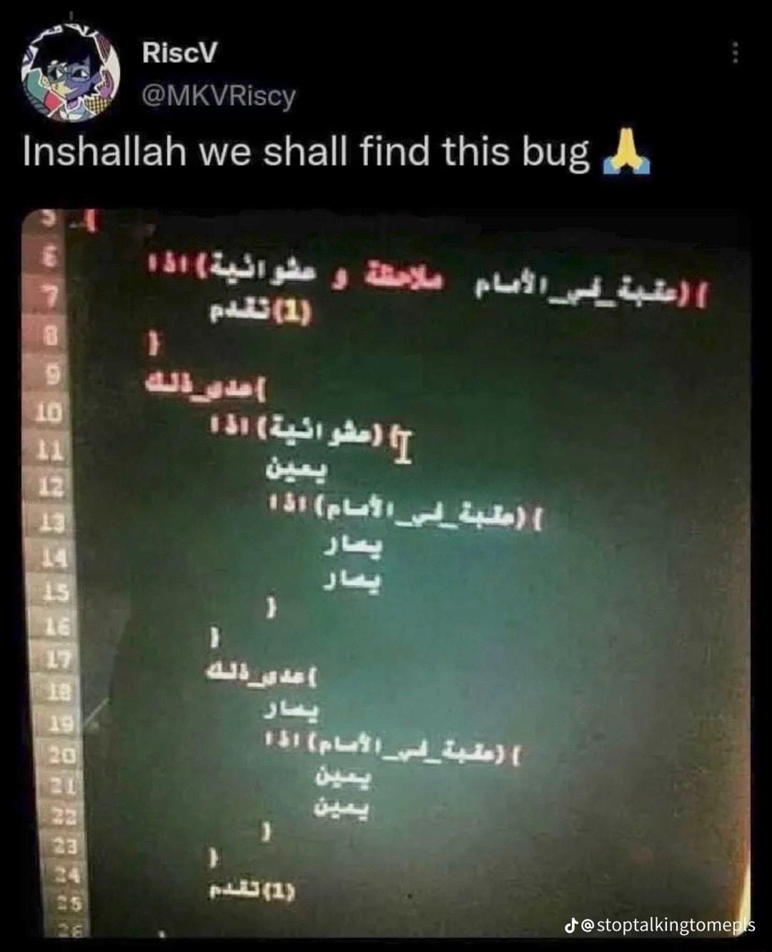 RiscV MKVRiscy Inshallah we shall find this bug JA Pliside s Bts st a