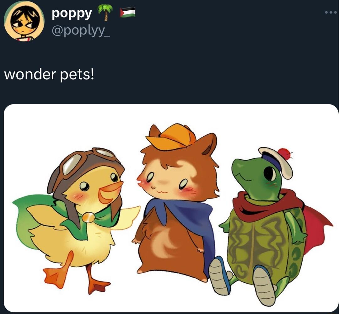 wonder pets