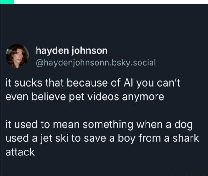 it sucks that because of AI you can’t even believe pet videos anymore

it used to mean something when a dog used a jet ski to save a boy from a shark attack