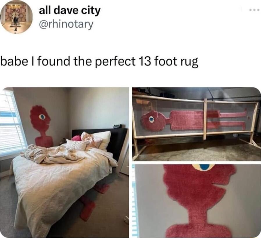 all dave city rhinotary babe found the perfect 13 foot rug