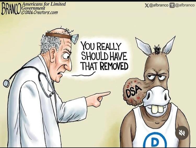 BRANCO Americans for Limited Government ©2026 Creators.com X @afbranco r @afbranco YOU REALLY SHOULD HAVE THAT REMOVED DSA D
