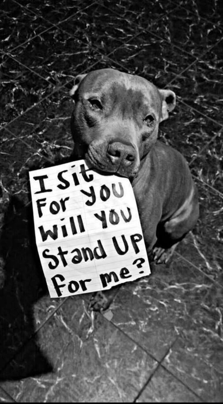 I sit for you will you stand up for me?