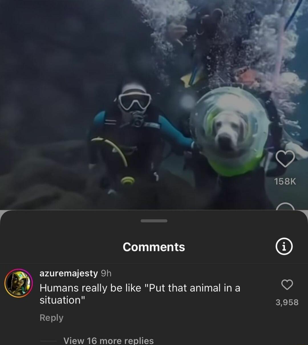 Comments azuremajesty oh I ER YR TER R G EIEN T ETEY situation Reply View 16 more replies 3958