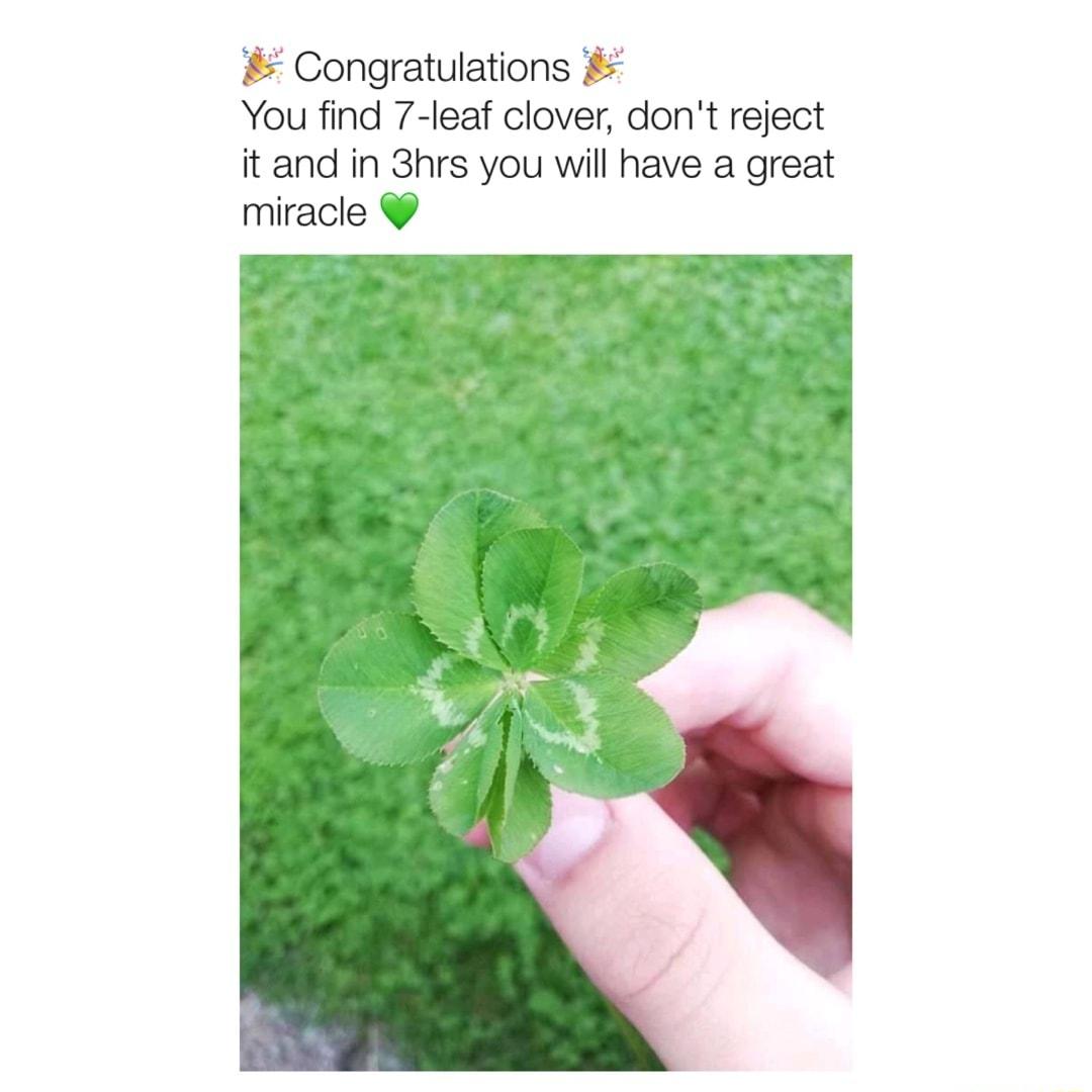 Congratulations You find 7 leaf clover dont reject it and in 3hrs you will have a great miracle