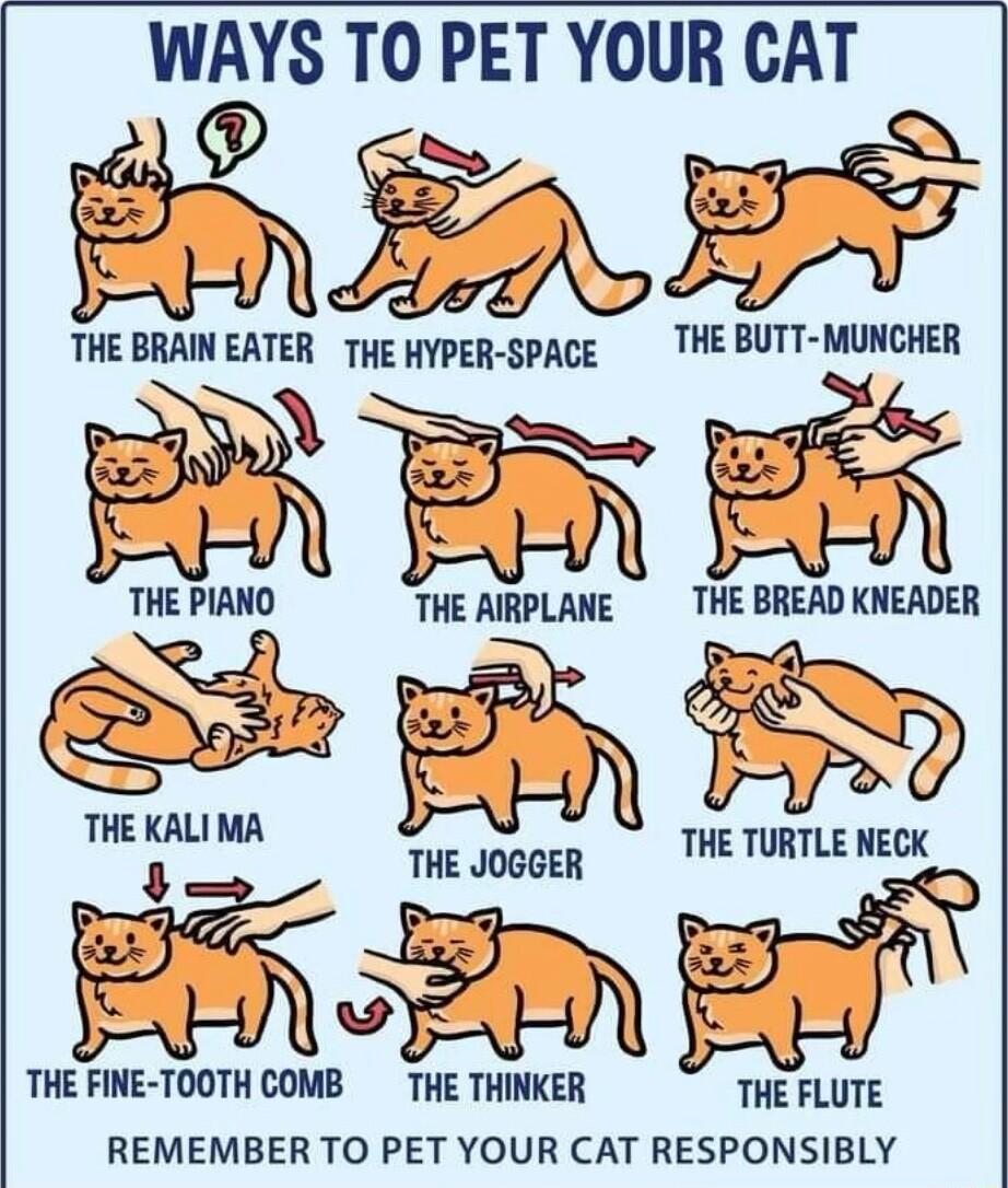 WAYS TO PET YOUR CAT Q 78 i THE BRAINEATER THE HYPER GPACE THE BUTT MUNCHER TME PIANO THE AIRPLANE THE BREAD KNEADER rnzxnum h z THEJooeR THE TURTLENECK THE FINE TOOTH COMB THE THINKER THE FLUTE REMEMBER TO PET YOUR CAT RESPONSIBLY