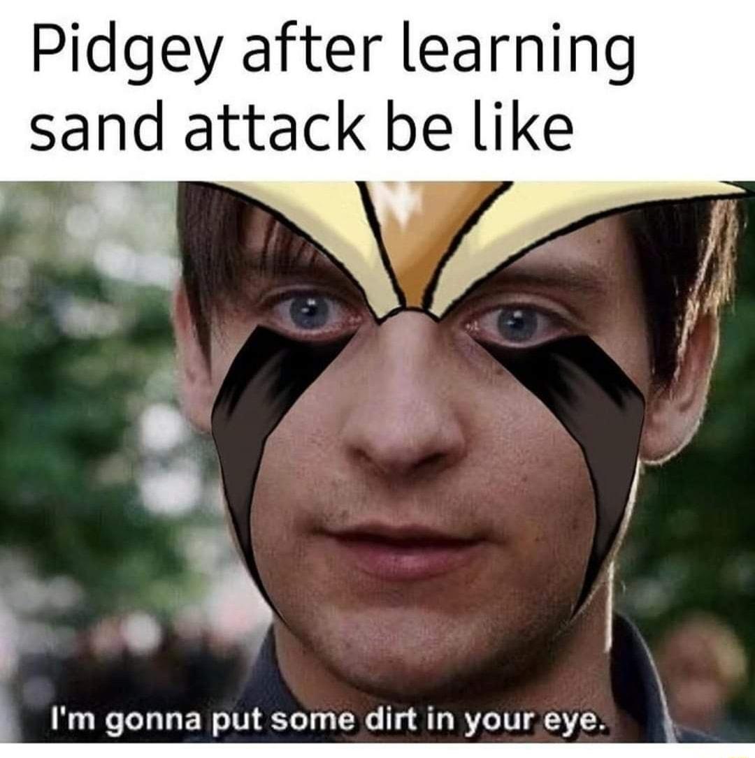 Pidgey after learning sand attack be like o 3 l i Im gonna put some dirt in your eye s