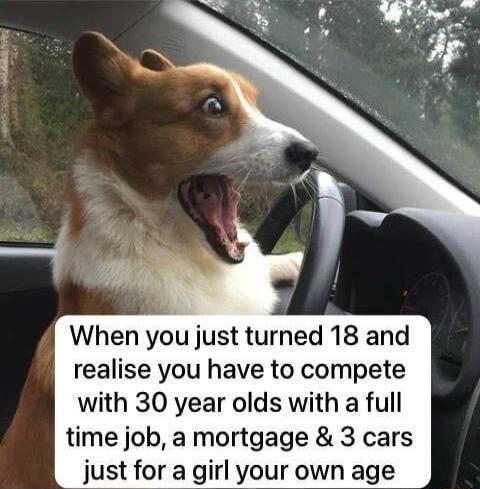 When you just turned 18 and realise you have to compete with 30 year olds with a full time job a mortgage 3 cars just for a girl your own age