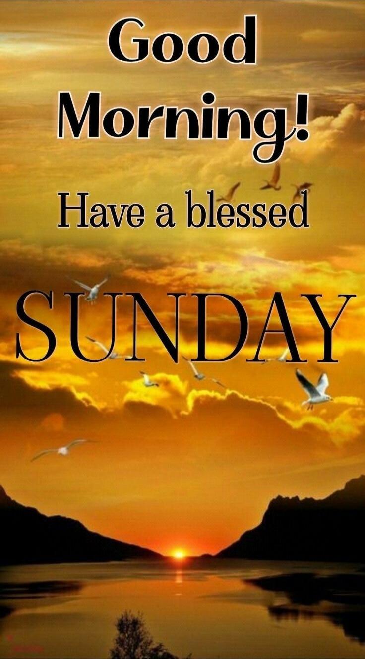 Good Morning! Have a blessed SUNDAY