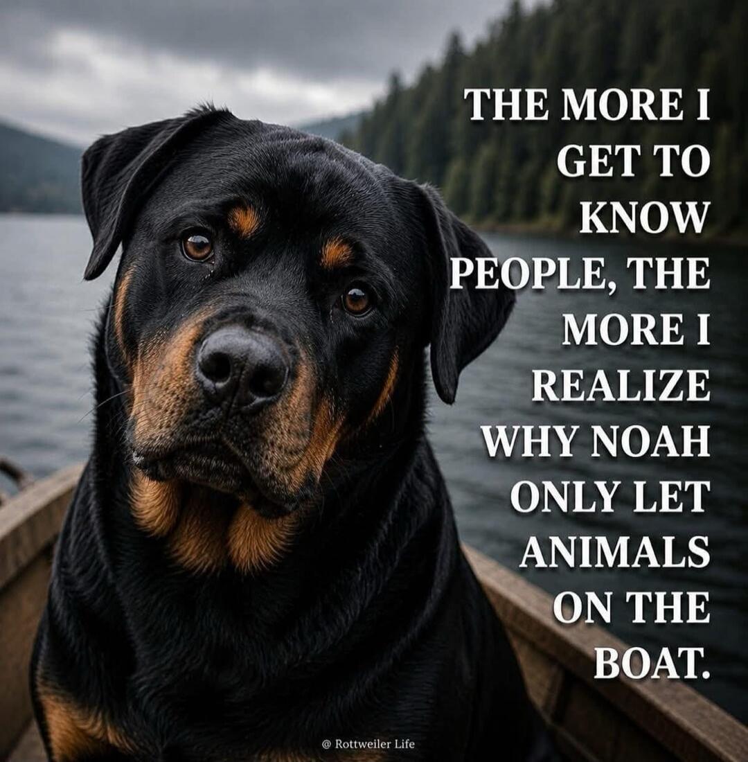 THE MORE I GET TO KNOW PEOPLE, THE MORE I REALIZE WHY NOAH ONLY LET ANIMALS ON THE BOAT.