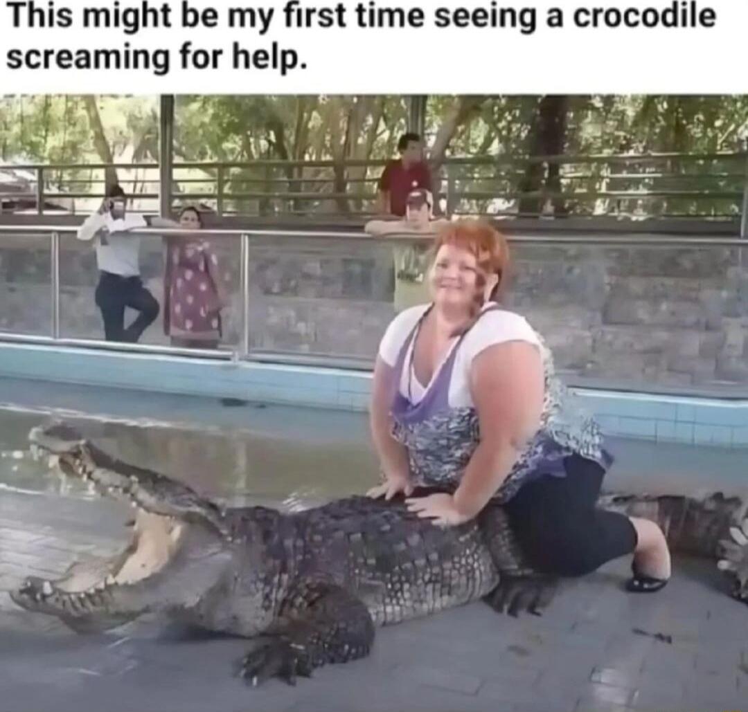 This might be my first time seeing a crocodile screaming for help i
