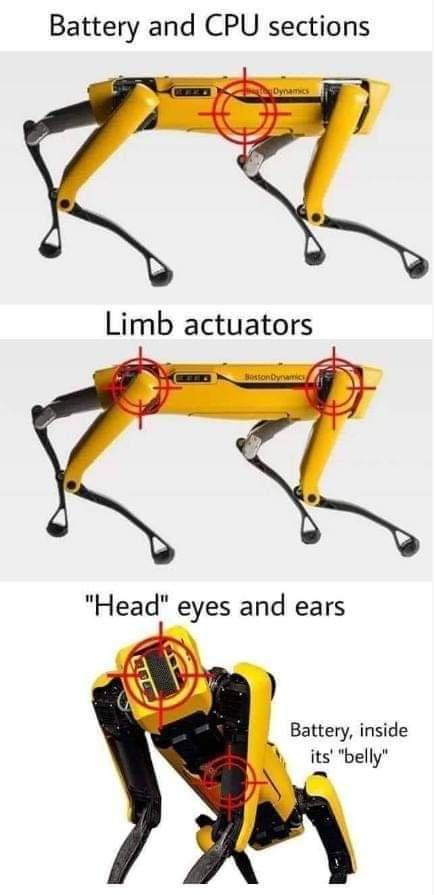 Battery and CPU sections Limb actuators Head eyes and ears Battery inside its belly