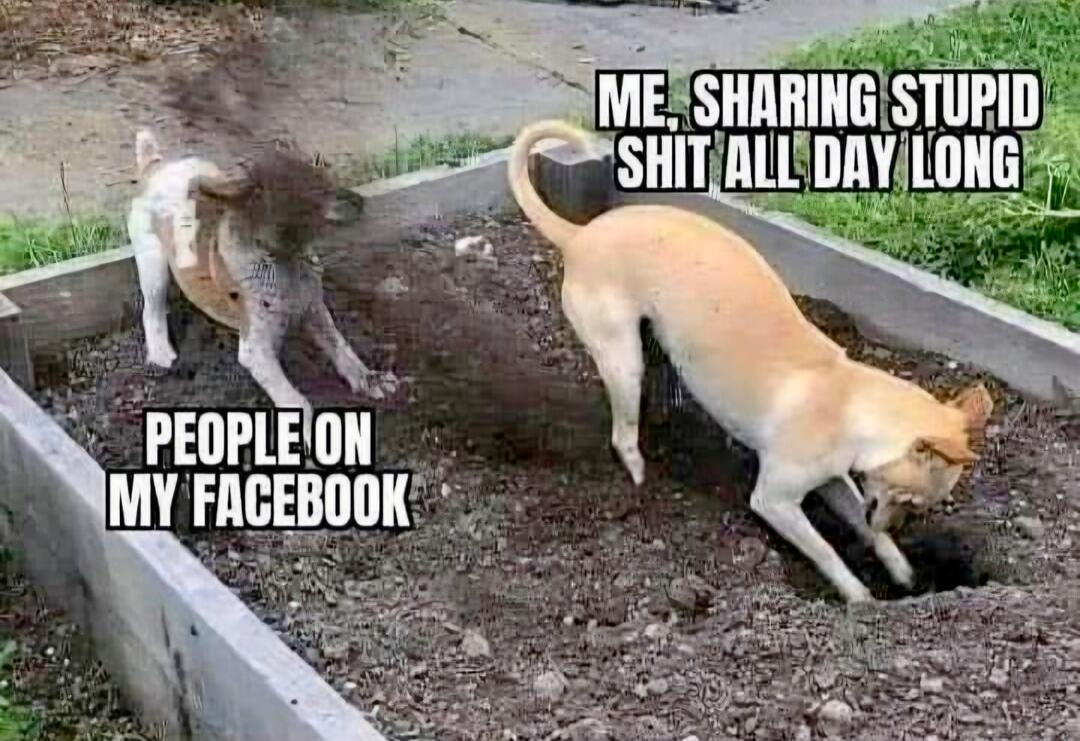 ME, SHARING STUPID SHIT ALL DAY LONG PEOPLE ON MY FACEBOOK