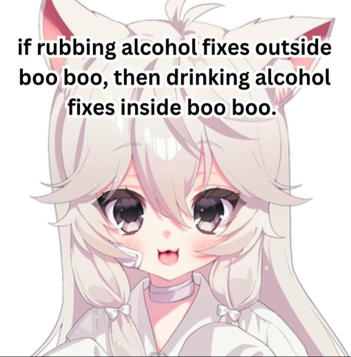 if rubbing alcohol fixes outsig boo boo then drinking alcohol fixes inside boo boo