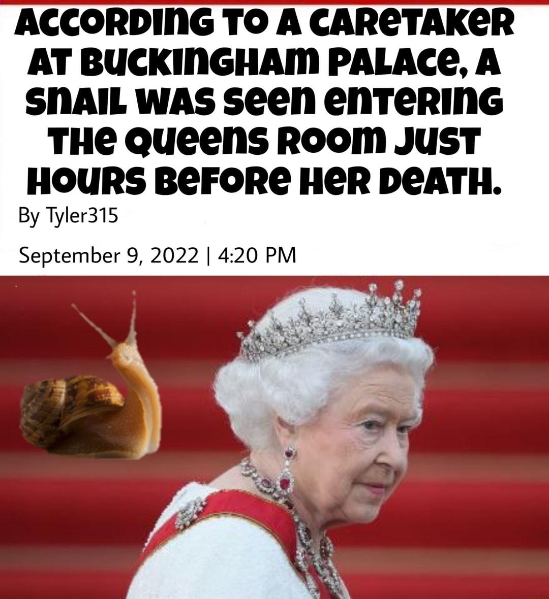 IFUNNY NeWS osn ACCORDING TO A CARETAKER AT BUCKINGHAM PALACE A SNAIL WAS Seen enTerinG THe Queens ROOM JUST HOURS BEFORE HER DEATH By Tyler315 September 9 2022 420 PM