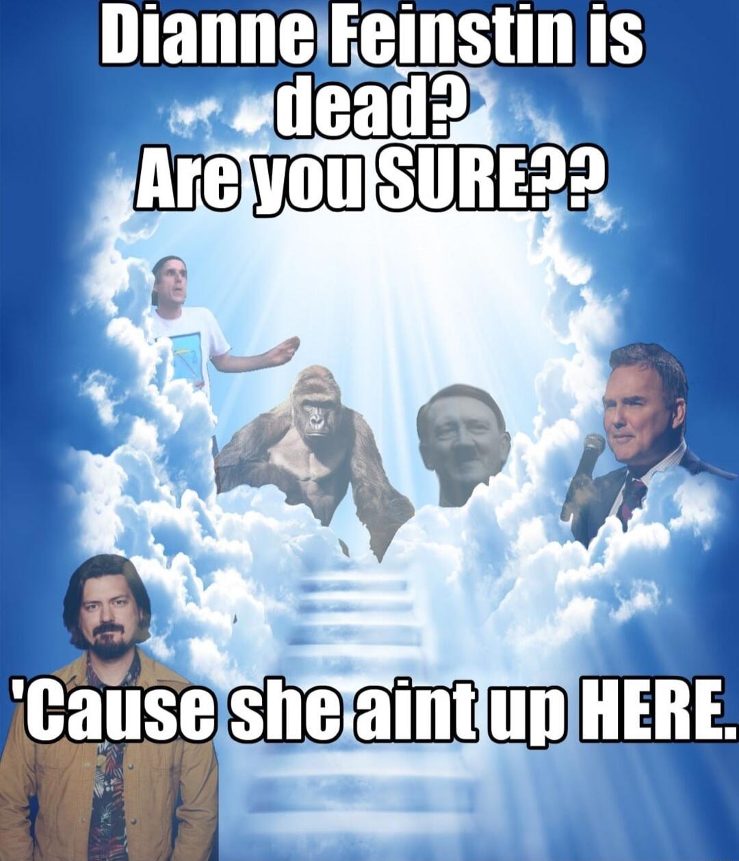 Dianne FBIIISIIII IS