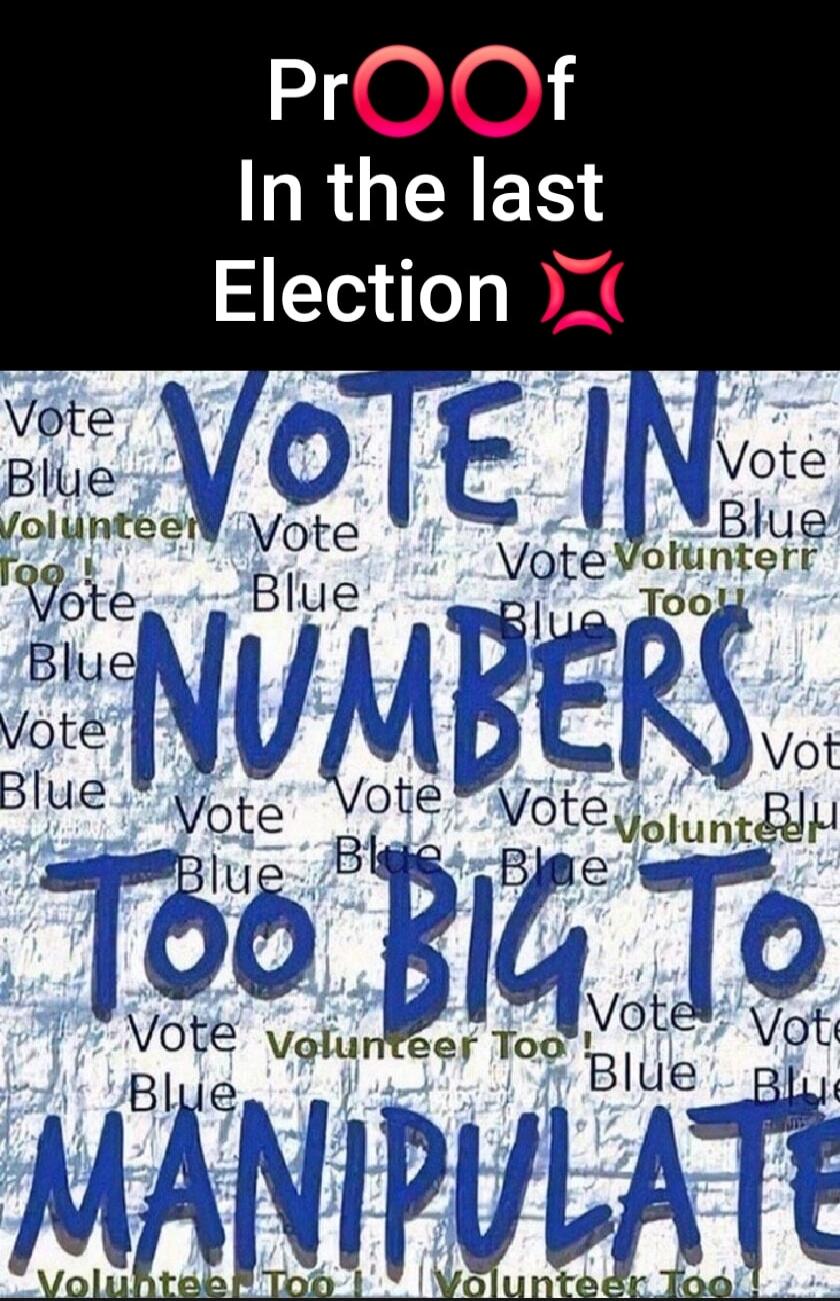 Proof In the last Election. Vote in numbers too big to manipulate. Vote Blue. Volunteer too.