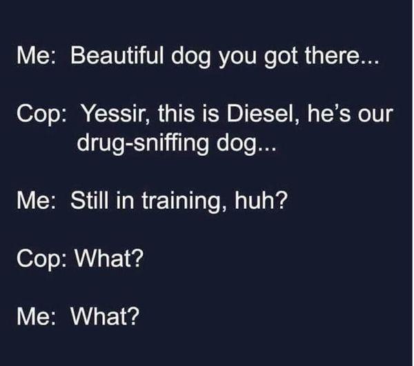 V S TET0111V Wo oo e U Ne o Qs Ty 1 07e oI 1151 8 g T R BITCTIET M o LK We U drug sniffing dog Me Still in training huh Cop What Me What