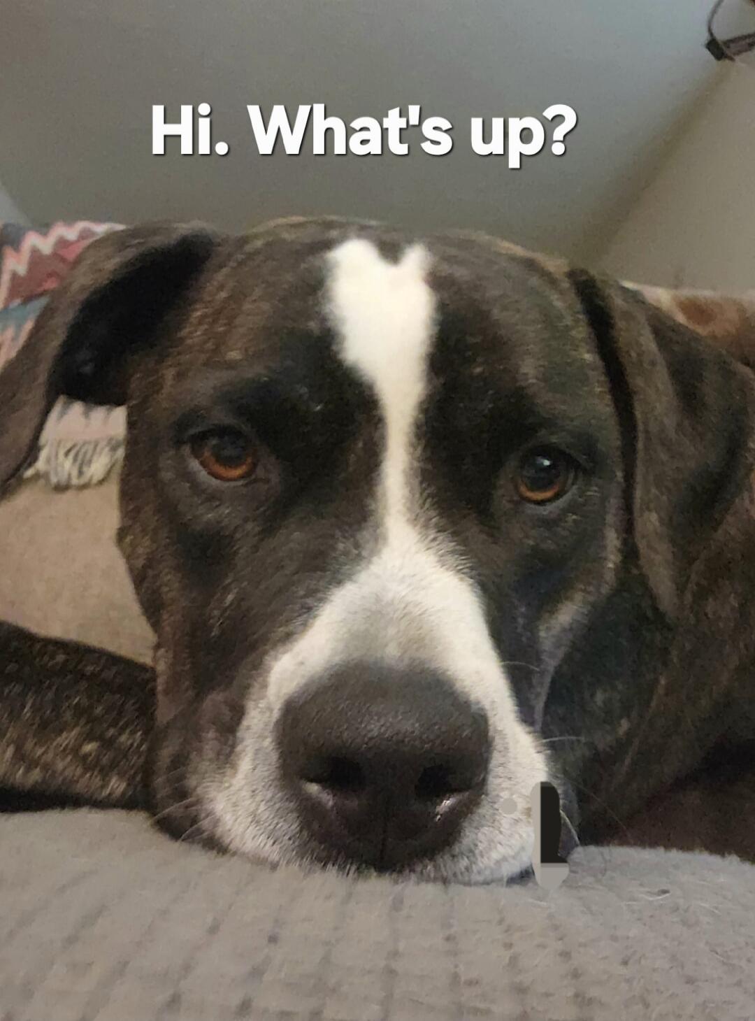 Hi. What's up?