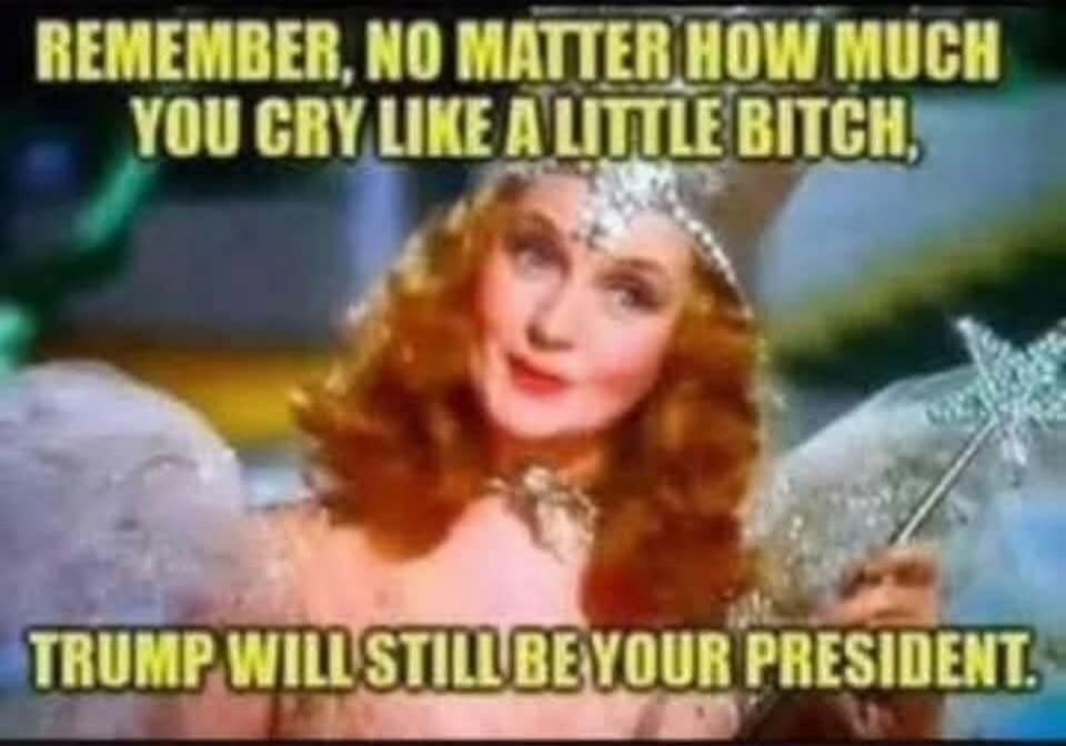 REMEMBER, NO MATTER HOW MUCH YOU CRY LIKE A LITTLE BITCH, TRUMP WILL STILL BE YOUR PRESIDENT.