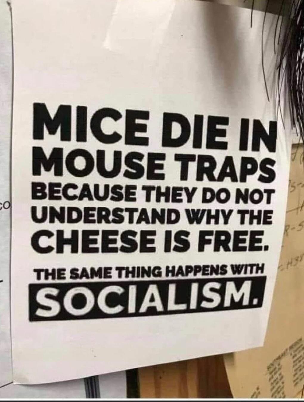 MICE DIE IN MOUSE TRAPS BECAUSE THEY DONOT UNDERSTAND WHY THE CHEESE IS FREE THE SAME THING HAPPENS WITH