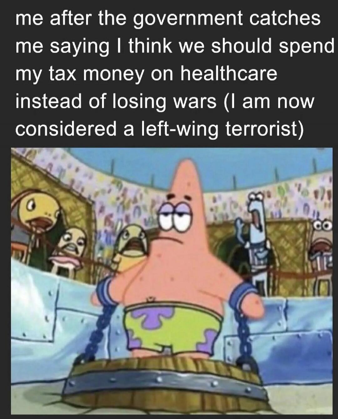me after the government catches me saying I think we should spend my tax money on healthcare instead of losing wars (I am now considered a left-wing terrorist)