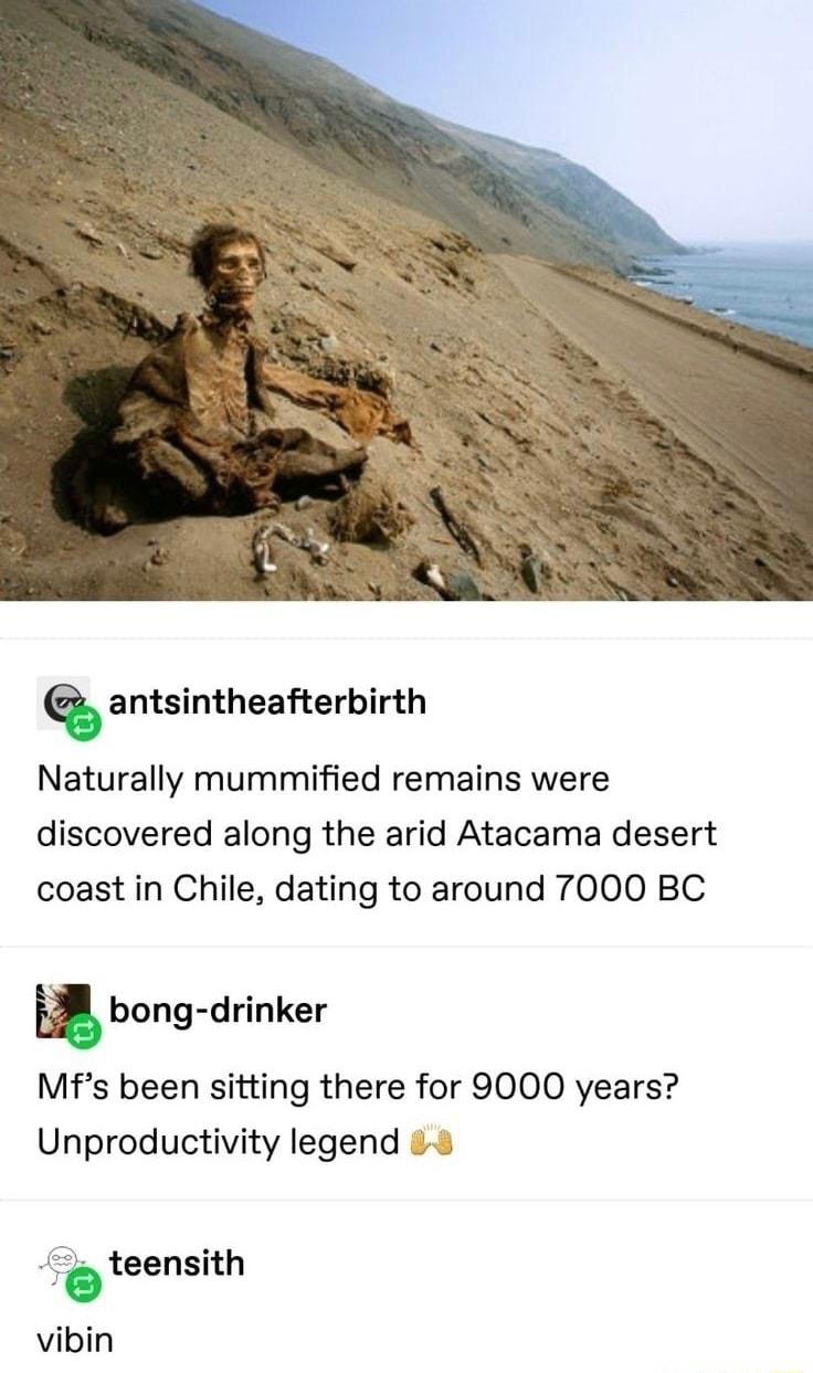 antsintheafterbirth Naturally mummified remains were discovered along the arid Atacama desert coast in Chile dating to around 7000 BC m bong drinker Mfs been sitting there for 9000 years Unproductivity legend 4 eteensith vibin