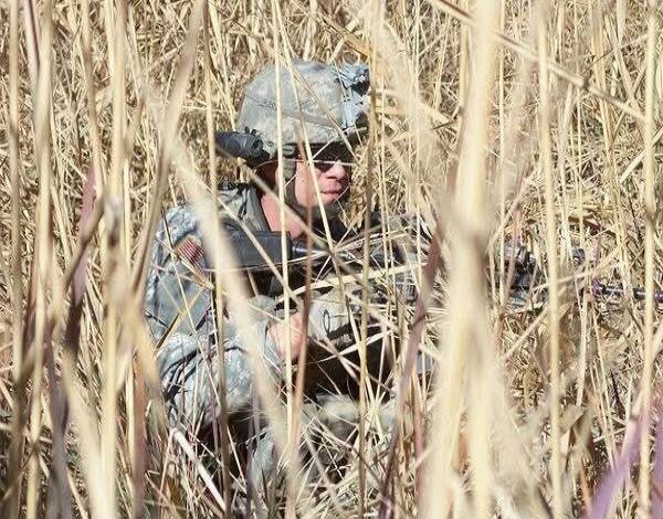 A soldier crouching in tall grass, wearing camouflage and holding a rifle.