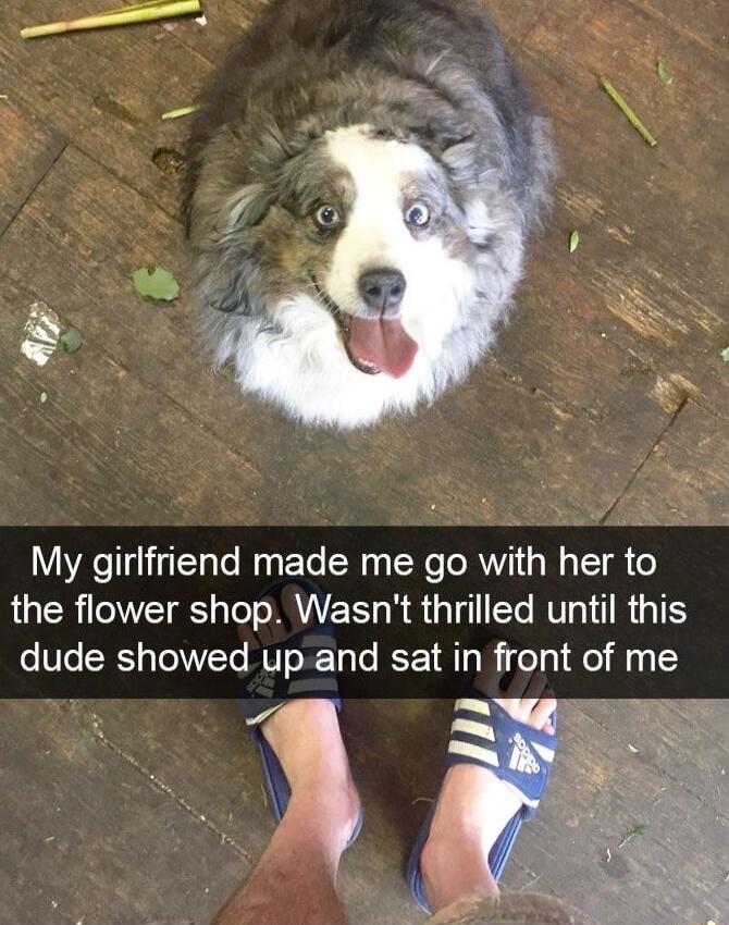 My girlfiend made me go with her to the flower shop Wasnt thrilled until this dude showed up and sat in front of me 4 I