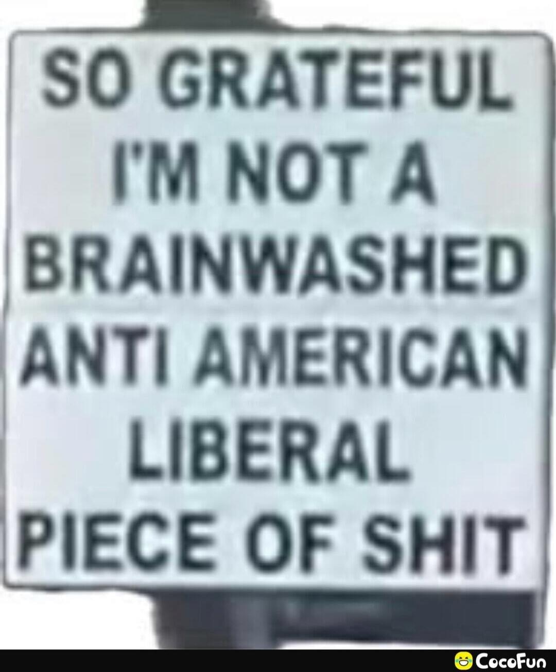 SO GRATEFUL I'M NOT A BRAINWASHED ANTI AMERICAN LIBERAL PIECE OF SHIT