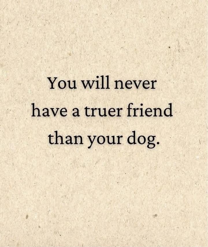You will never have a truer friend than your dog.