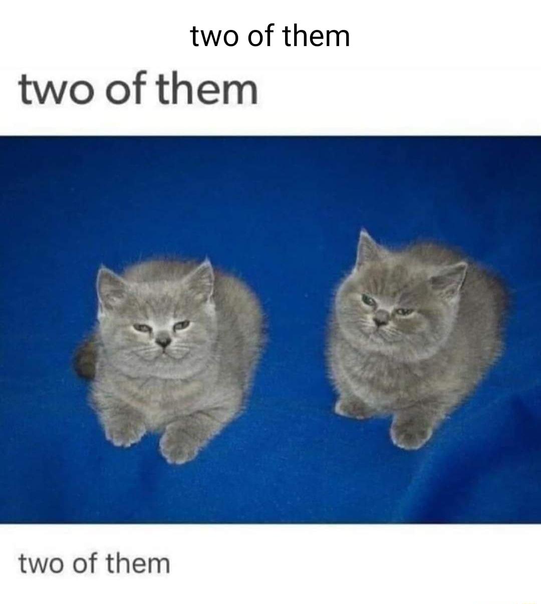 two of them two of them two of them