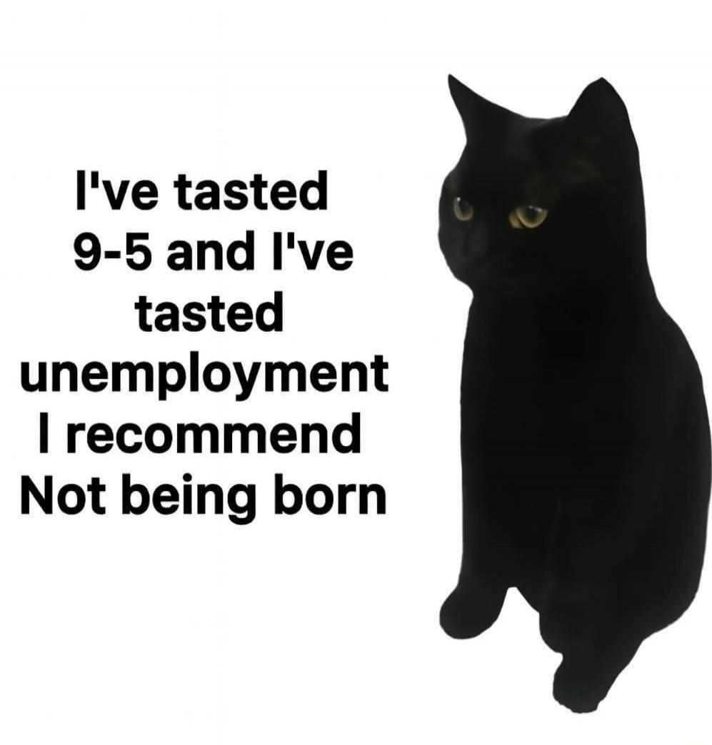 I've tasted 9-5 and I've tasted unemployment I recommend Not being born