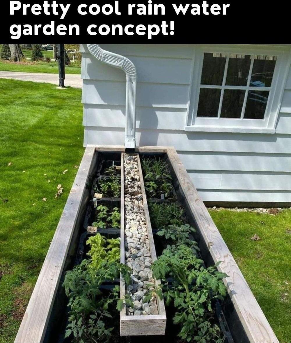 Pretty cool rain water garden concept