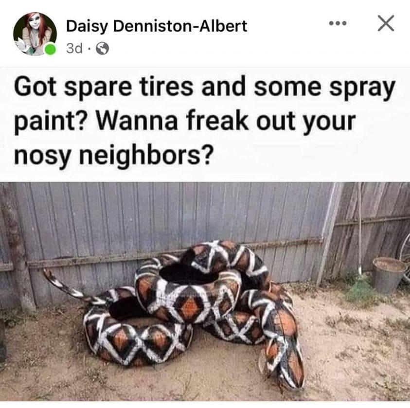 9 Daisy Denniston Albert s X e 3d Q Got spare tires and some spray paint Wanna freak out your nosy neighbors
