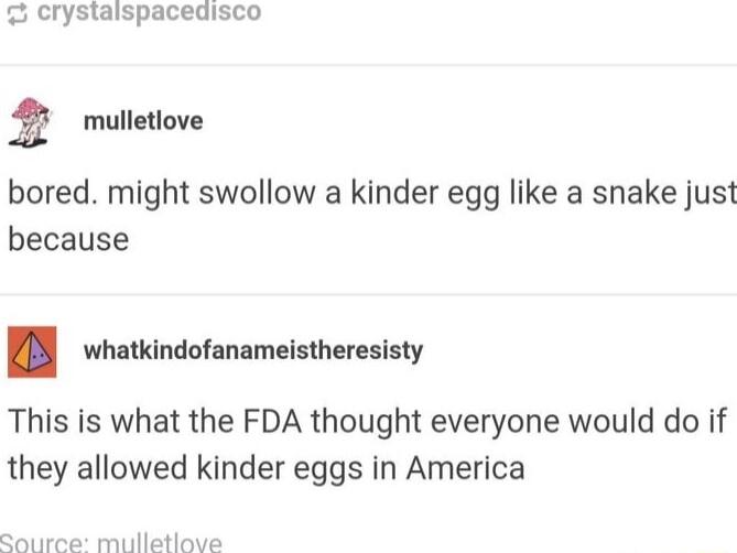 crystaispacedisco muletiove bored might swollow a kinder egg like a snake just because whatkindofanameistheresisty This is what the FDA thought everyone would do if they allowed kinder eggs in America Source mulletlove