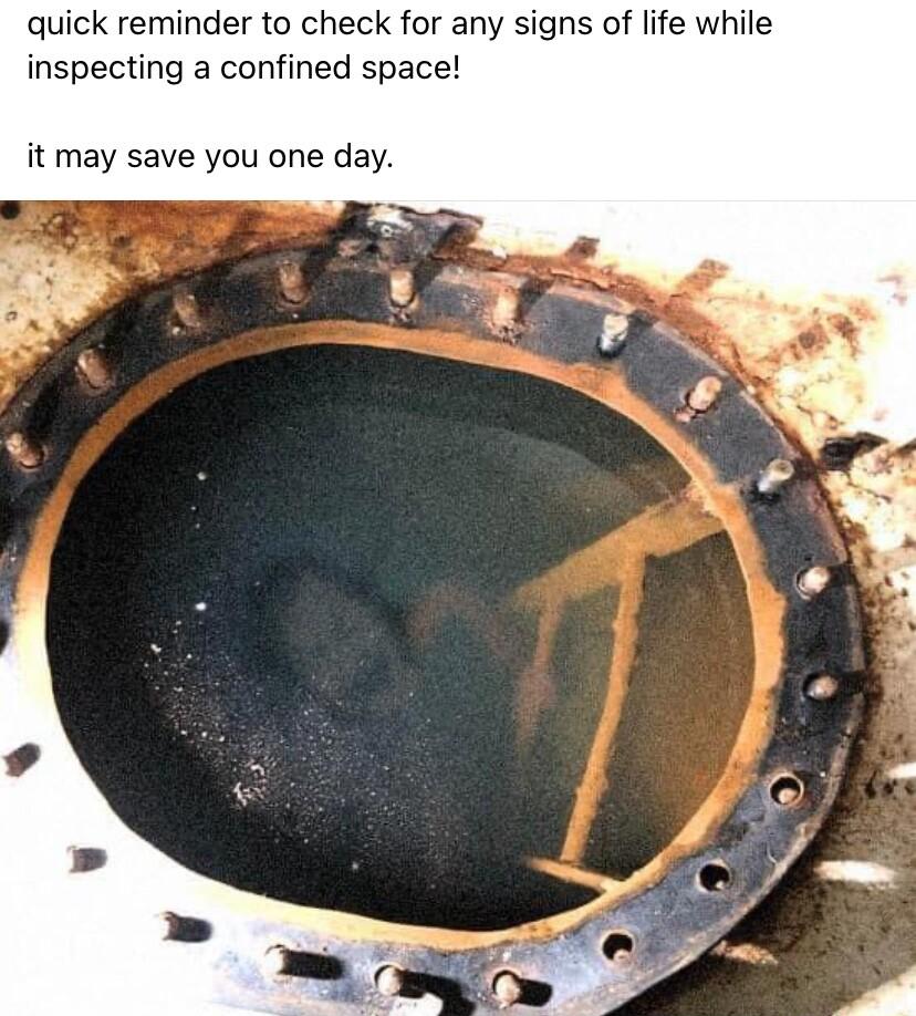 quick reminder to check for any signs of life while inspecting a confined space it may save you one day