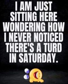 I AM JUST SITTING HERE WONDERING HOW I NEVER NOTICED THERE'S A TURD IN SATURDAY.