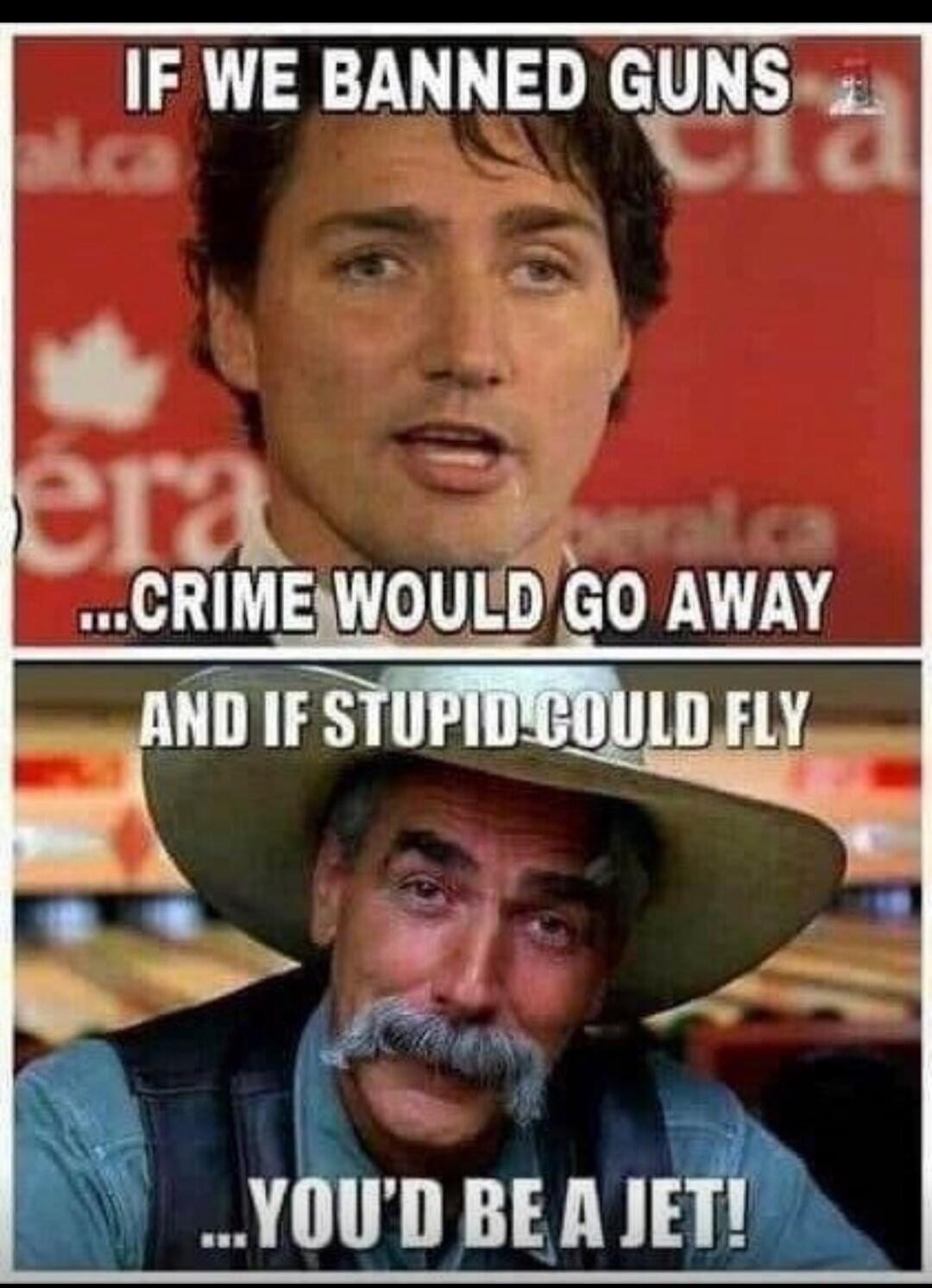 IF WE BANNED GUNS ...CRIME WOULD GO AWAY AND IF STUPID COULD FLY ...YOU'D BE A JET!
