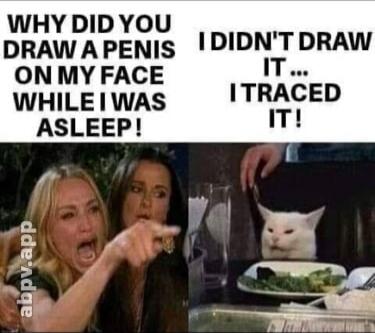 WHY DID YOU DRAW A PENIS ON MY FACE WHILE I WAS ASLEEP! I DIDN'T DRAW IT... I TRACED IT!