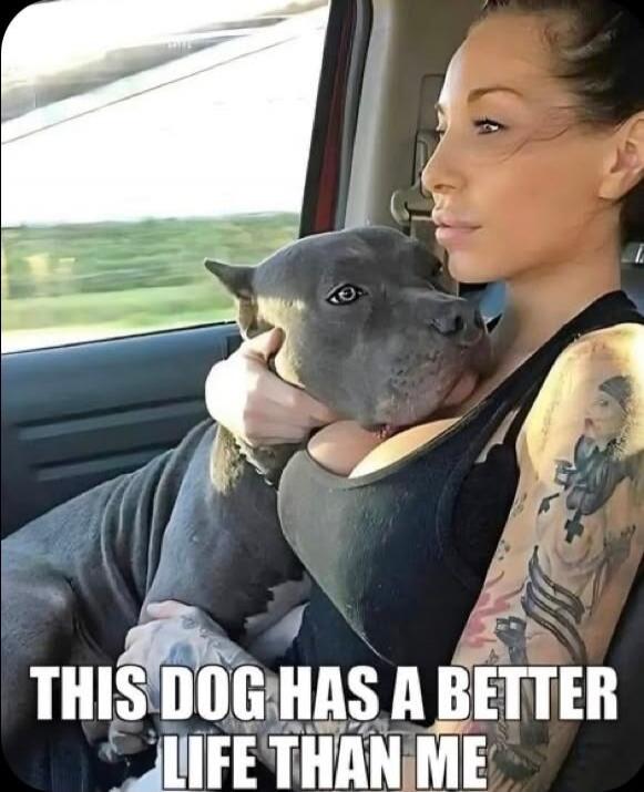 THIS DOG HAS A BETTER LIFE THAN ME