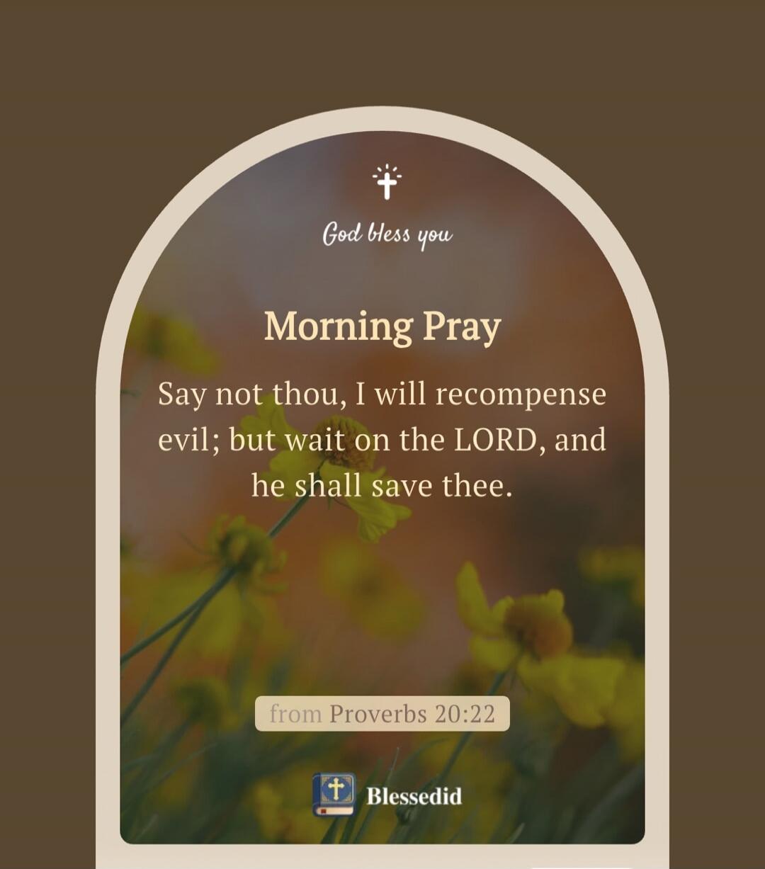 God bless you. Morning Prayer. Say not thou, I will recompense evil; but wait on the LORD, and he shall save thee. from Proverbs 20:22. Blessedid.