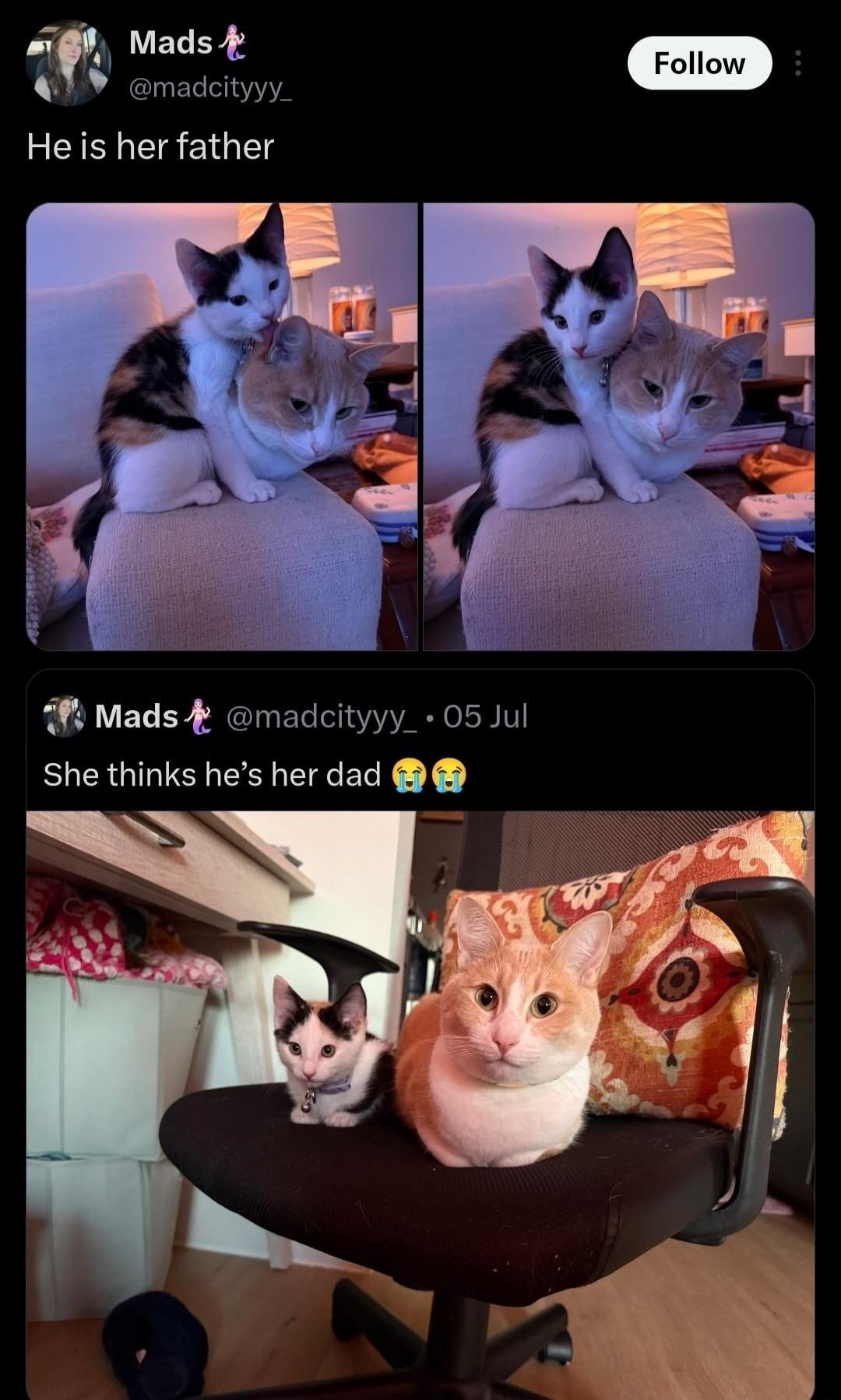 Mads @madcityyy_ He is her father. Mads @madcityyy_ • 05 Jul She thinks he's her dad 😭😭