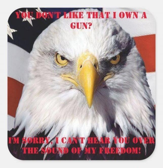 YOU DON'T LIKE THAT I OWN A GUN? I'M SORRY, I CAN'T HEAR YOU OVER THE SOUND OF MY FREEDOM!
