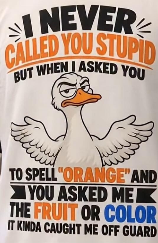 I NEVER CALLED YOU STUPID BUT WHEN I ASKED YOU TO SPELL 