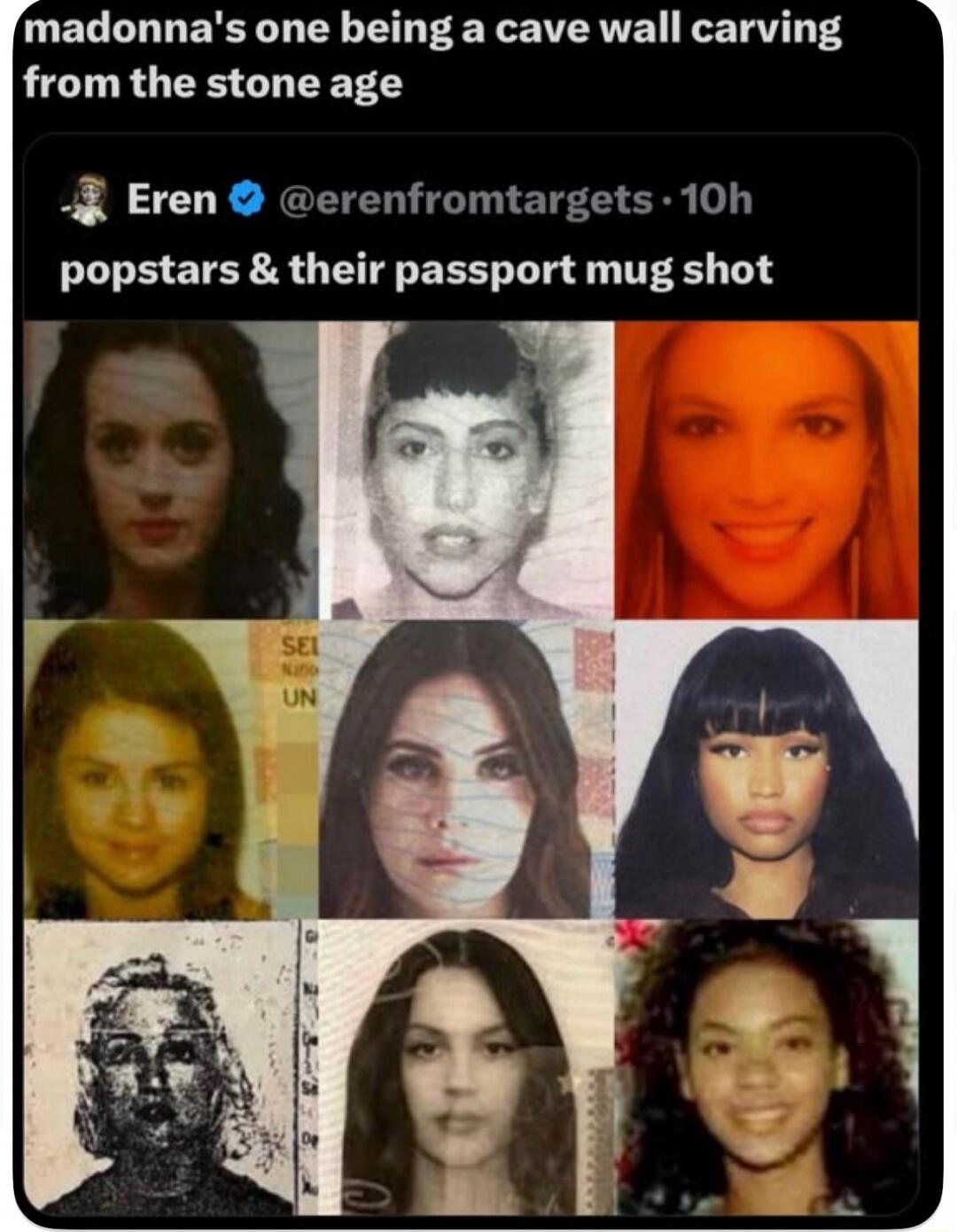 madonna's one being a cave wall carving from the stone age popstars & their passport mug shot