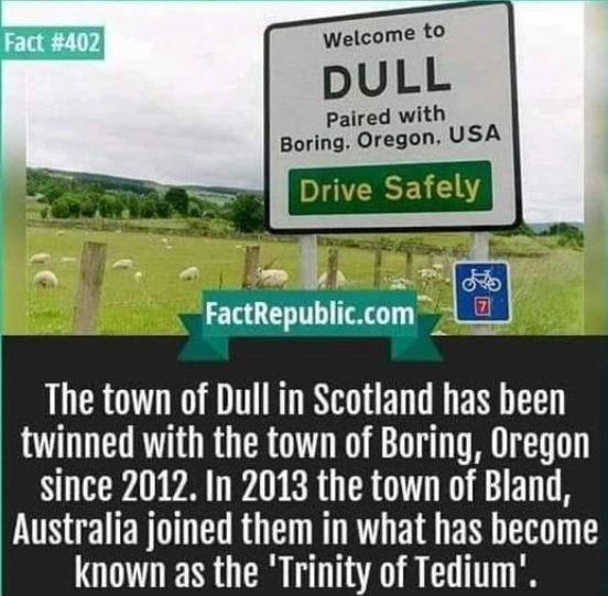 Welcome to DULL paired with Boring Oregon us The town of Dull in Scotland has been twinned with the town of Boring Oregon since 2012 In 2013 the town of Bland Australia joined them in what has become known as the Trinity of Tedium